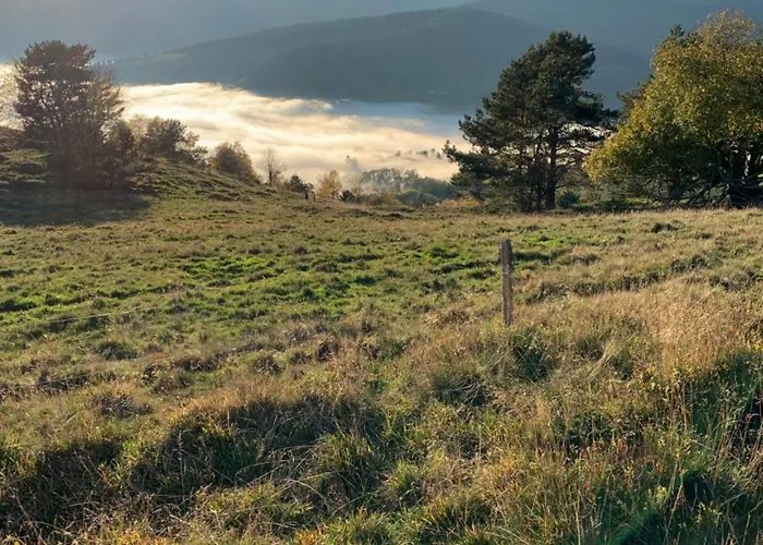 Authentique Centre Historique * Κολμάρ